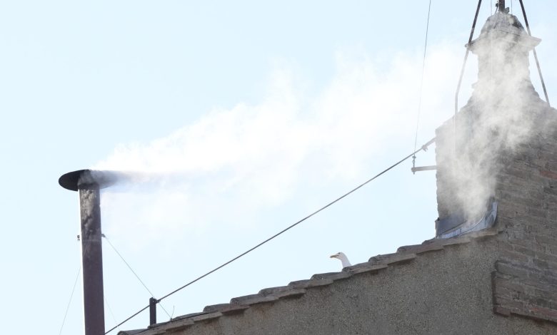 New pope elected by College of Cardinals: White smoke billows from Sistine Chapel