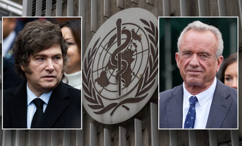 RFK Jr. and Argentina's Milei join forces to ditch WHO, make rival health system
