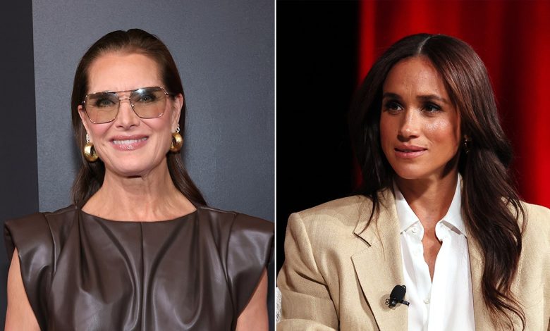 Brooke Shields reveals why she interrupted 'too precious' Meghan Markle at panel