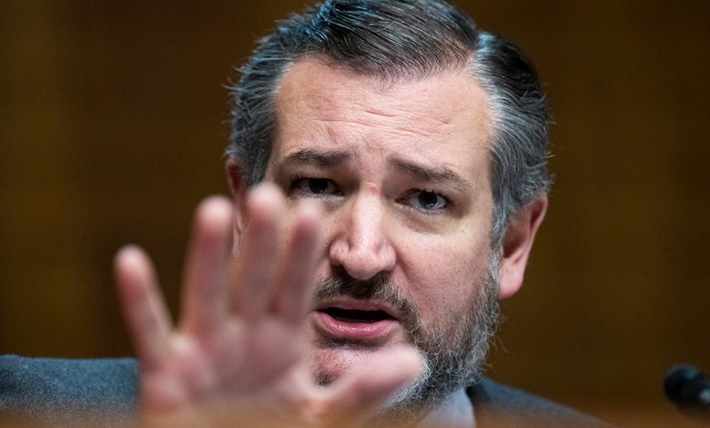 Sen. Ted Cruz, R-Texas, railed against Democrats for skipping a Senate hearing on former President Biden's health decline.
