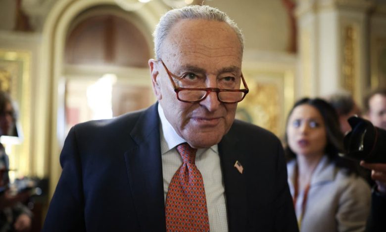 Chuck Schumer in Congress