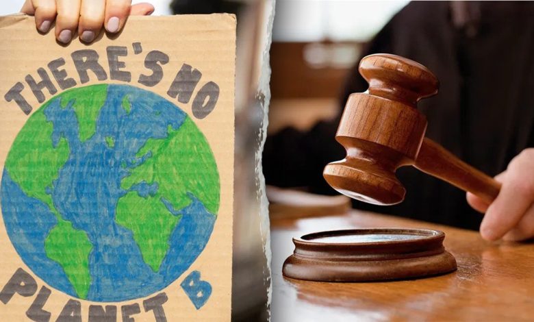 protest sign on cardboard, left; hand holding gavel, right