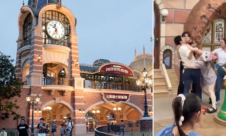 Fight breaks out between couples is caught on video at Disneyland China