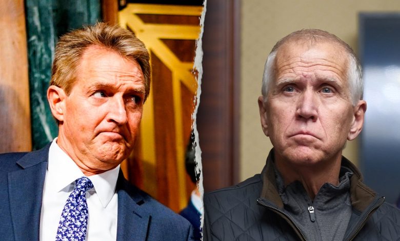 Flake/Tillis split