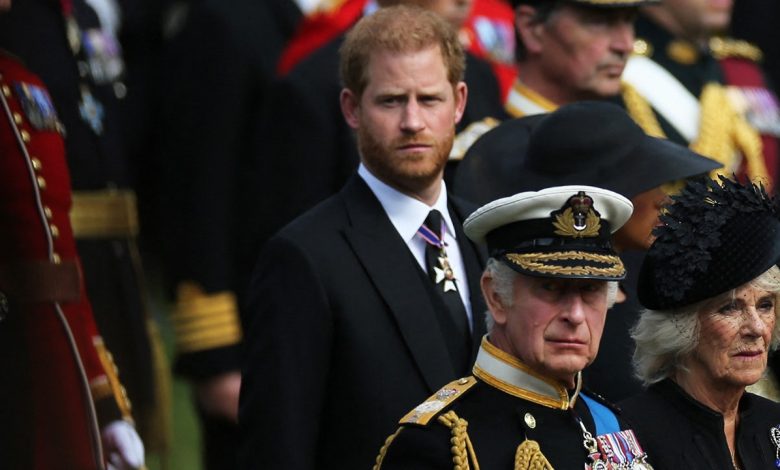 Queen Camilla won't intervene in King Charles and Prince Harry's rift: experts