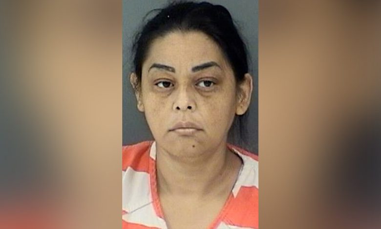 Silvia Patricia Santamaria Mugshot