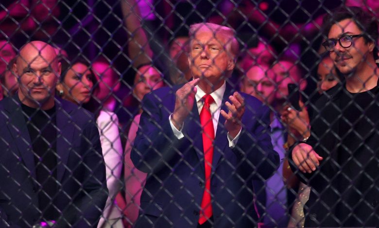 Trump applauds while standing next to Dana White at UFC 316
