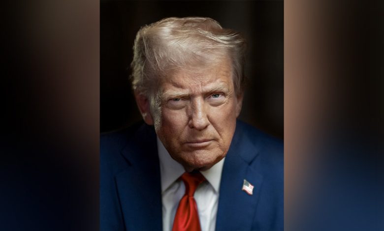 President Donald Trump portrait