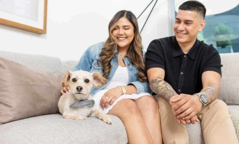 Fourth of July fireworks cause 60% spike in lost dogs, how to keep your pet safe