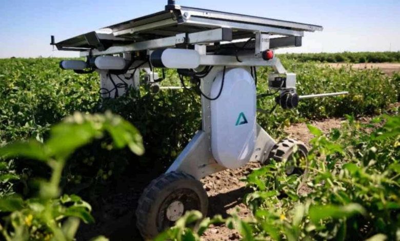 Solar-powered weeding robots offer farmers herbicide-free farming solution