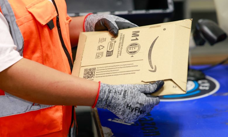 Amazon warehouse workers lose jobs after Trump immigration crackdown