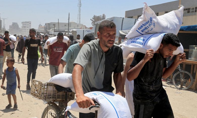 Israel: Thousands of Gaza aid pallets left undistributed as orgs decry crisis