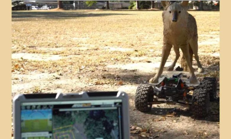 US Army deploys robot coyotes to keep wildlife off military airfields