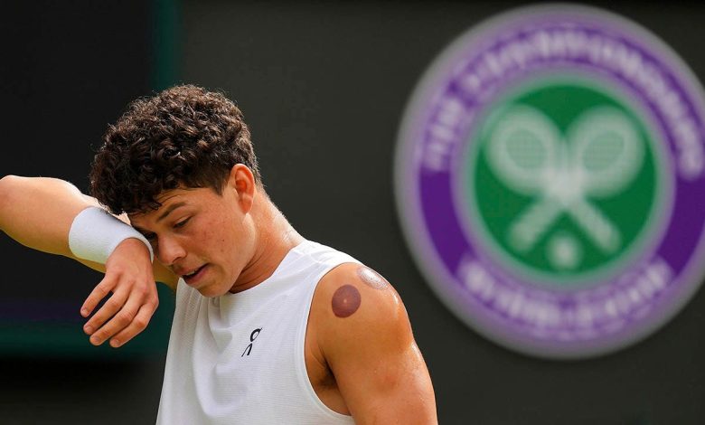 Jannik Sinner advances to Wimbledon semis after defeating Ben Shelton