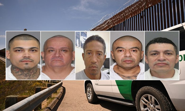 Booking pictures of people ICE arrested in the Houston area