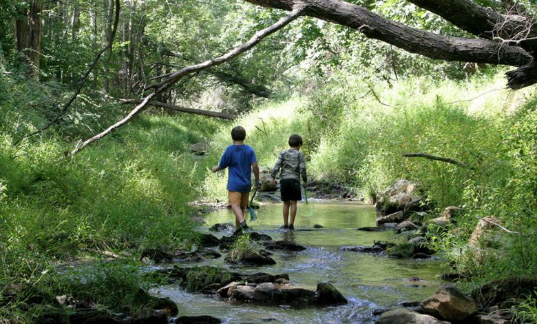 two boys exploring stream