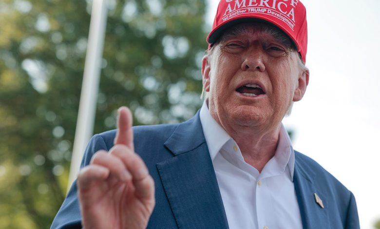 Donald Trump in MAGA hat