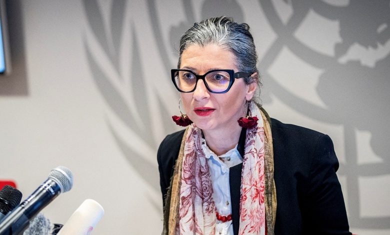 Controversial UN rapporteur faces backlash over anti-Israel report targeting companies