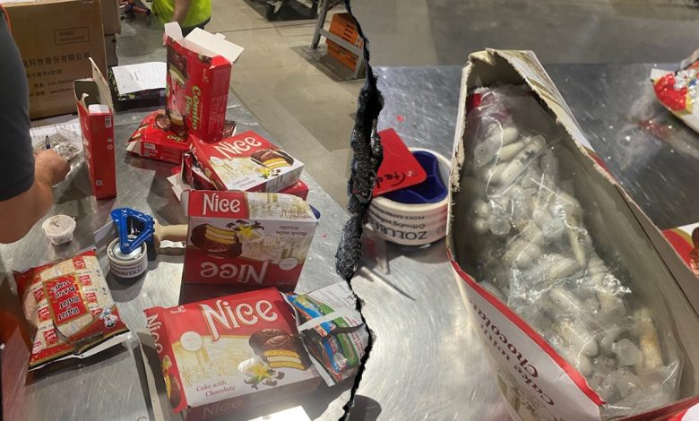 German customs officers find 1,500 tarantulas hidden in spongecake shipment