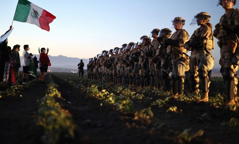 National Guard troops block protesters from an ICE raid at a nearby cannabis farm in California.