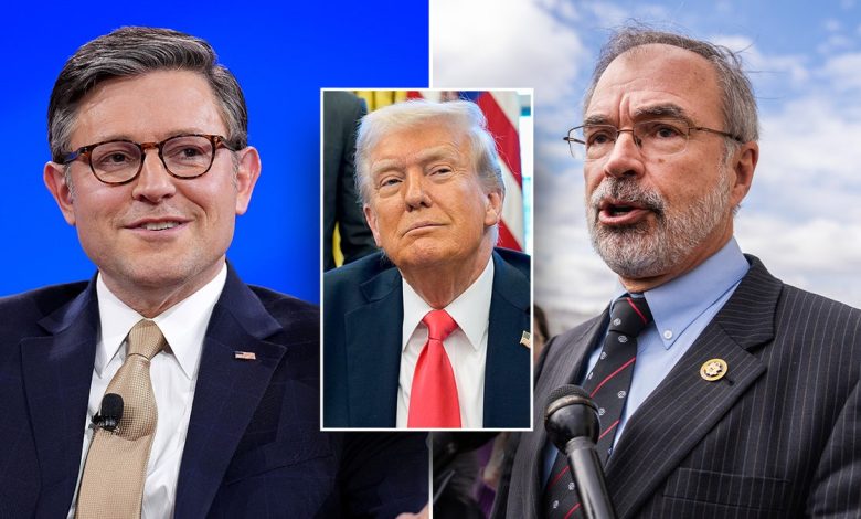Speaker Mike Johnson, Andy Harris, Donald Trump