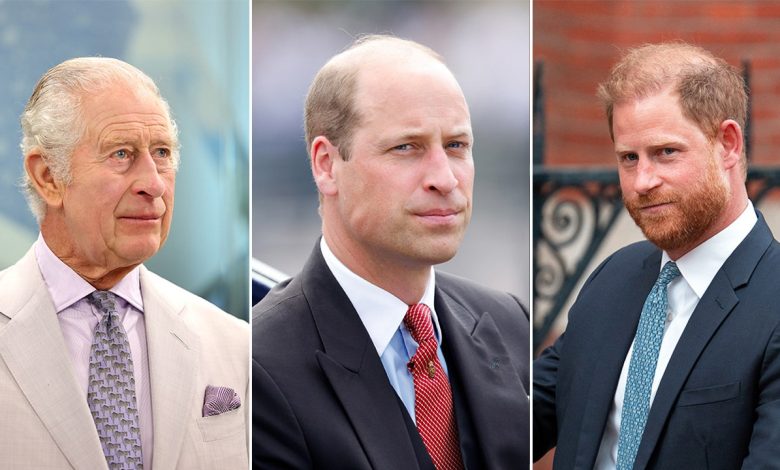 Royal rift continues after Prince William was excluded from peace talks: experts