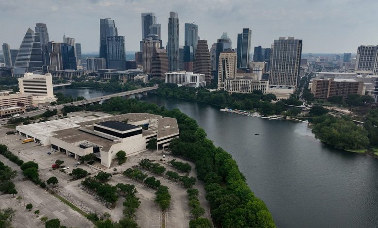 The shore of Lady Bird Lake