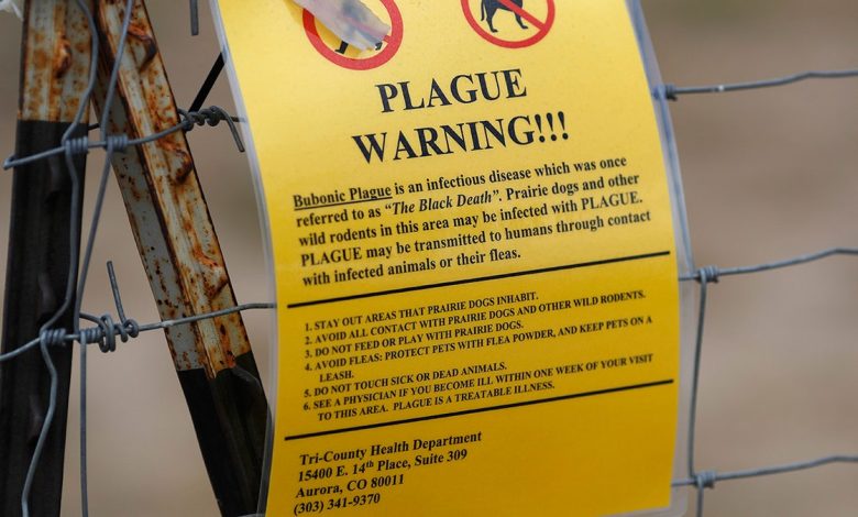 Sign warning of the plague