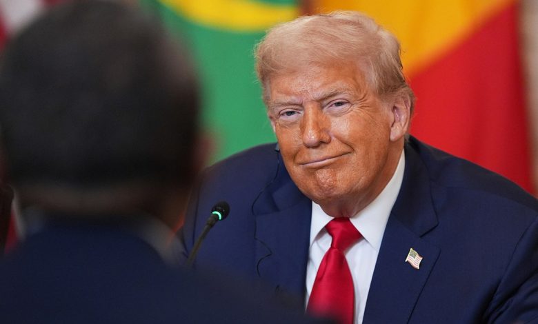 Trump grins during a White House meeting with African leaders
