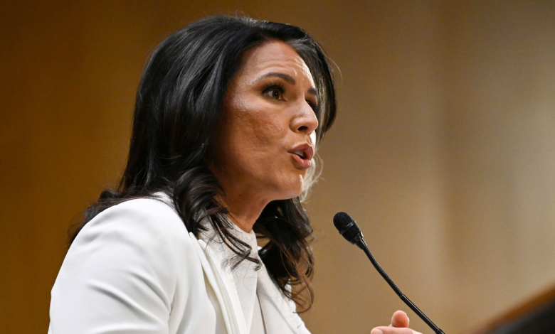 Tulsi Gabbard
